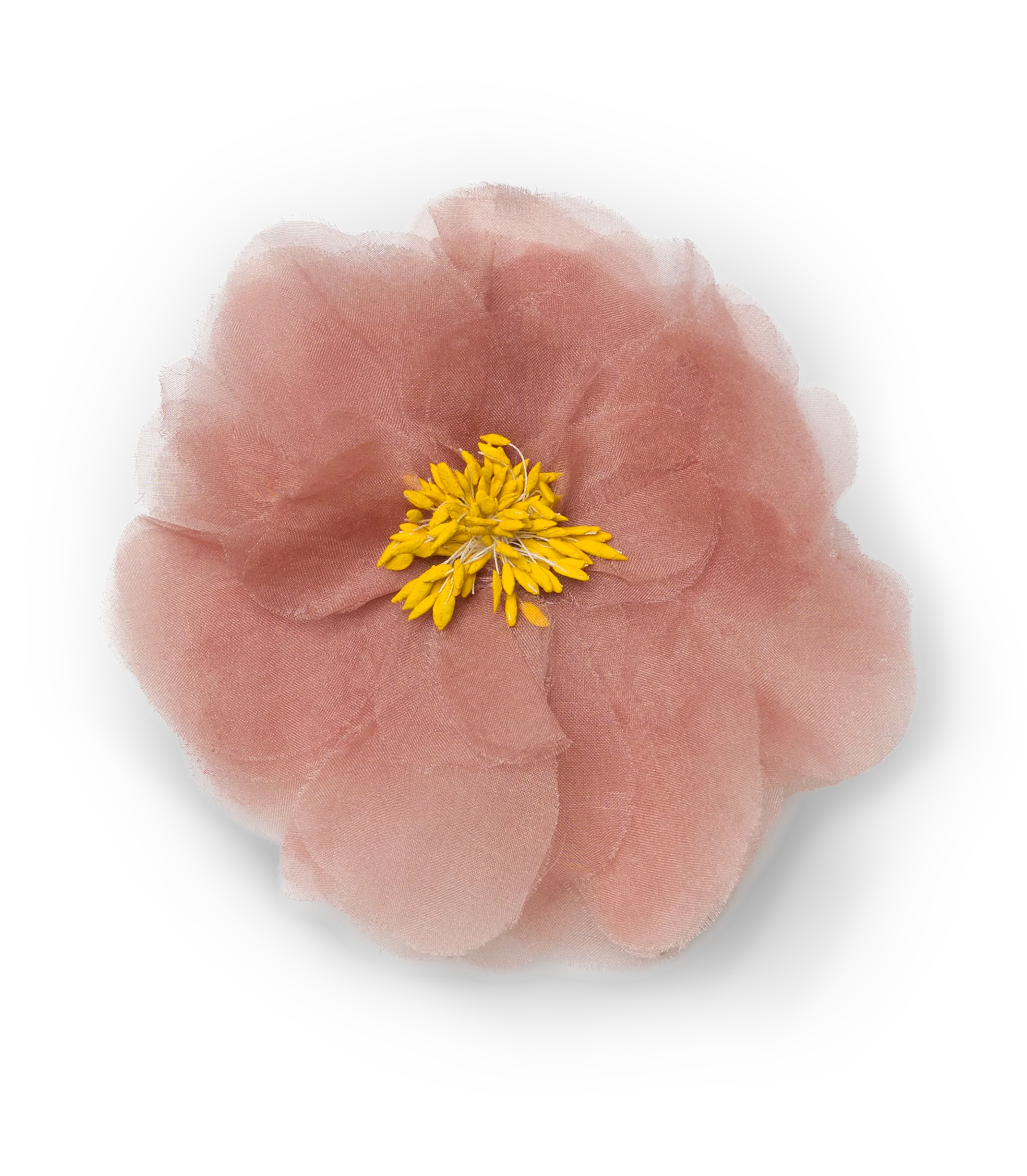 DANI BARRETTE -- APRICOT ORGANZA - Image 5
